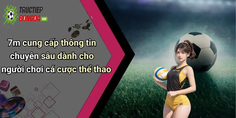 7m cung cấp thông tin chuyên sâu dành cho người chơi cá cược thể thao