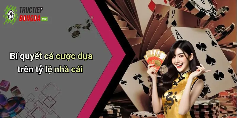 Bí quyết cá cược dựa trên tỷ lệ nhà cái