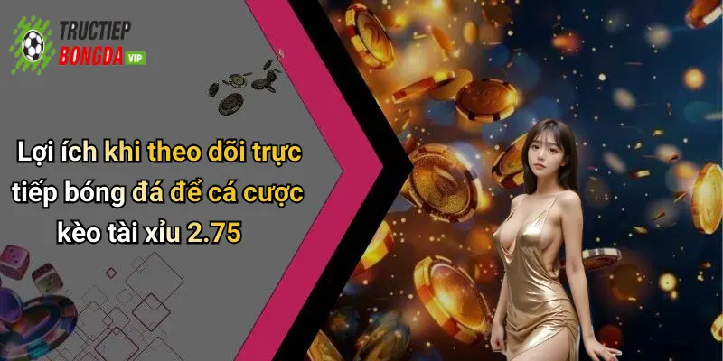 Lợi ích khi theo dõi trực tiếp bóng đá để cá cược kèo tài xỉu 2.75