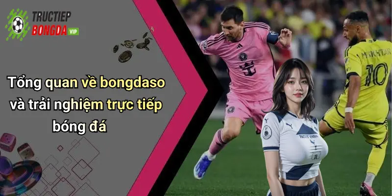 Tổng quan về bongdaso và trải nghiệm trực tiếp bóng đá