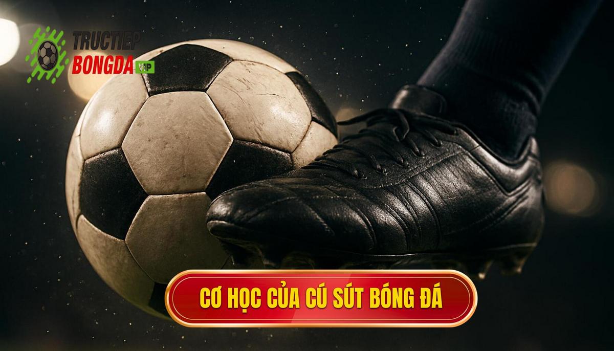 Nền tảng cơ học của cú sút mũi giày