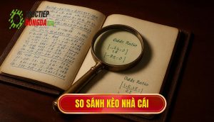 thumb - so sánh kèo nhà cái