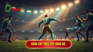 Đẳng cấp TRỰC TIẾP BÓNG ĐÁ.